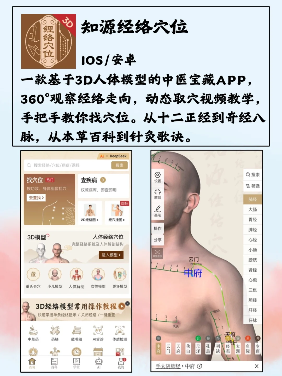 中医学生该有的神仙软件