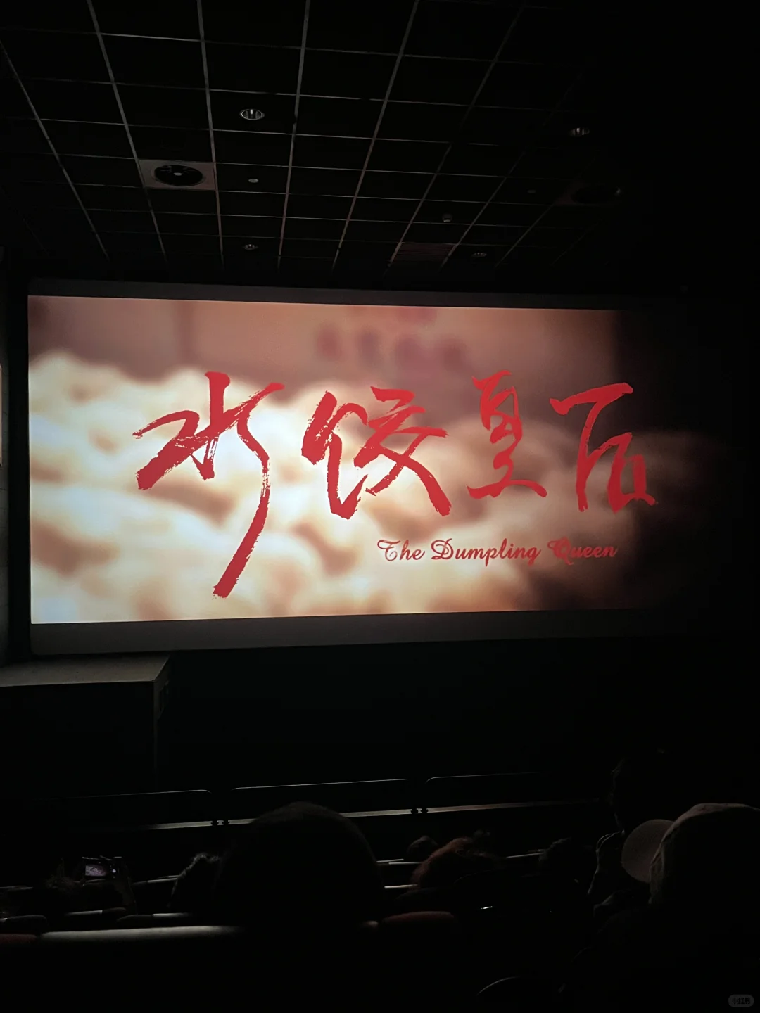 奔着朱亚文来的