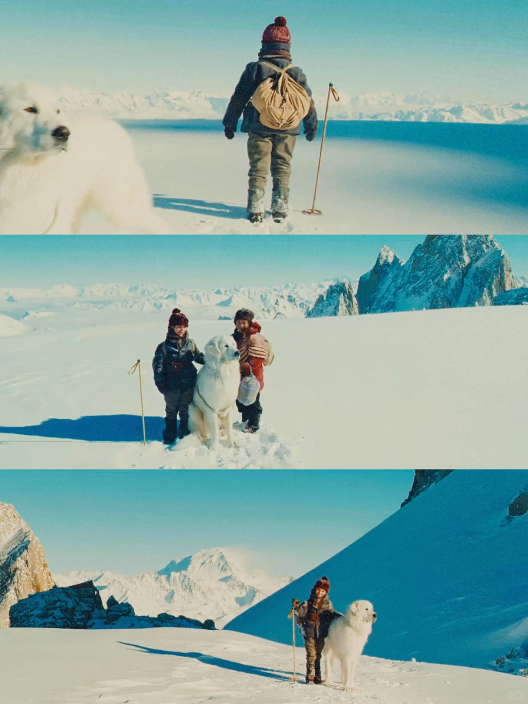 100部电影计划Ⅰ第9️⃣6️⃣部（96/100）