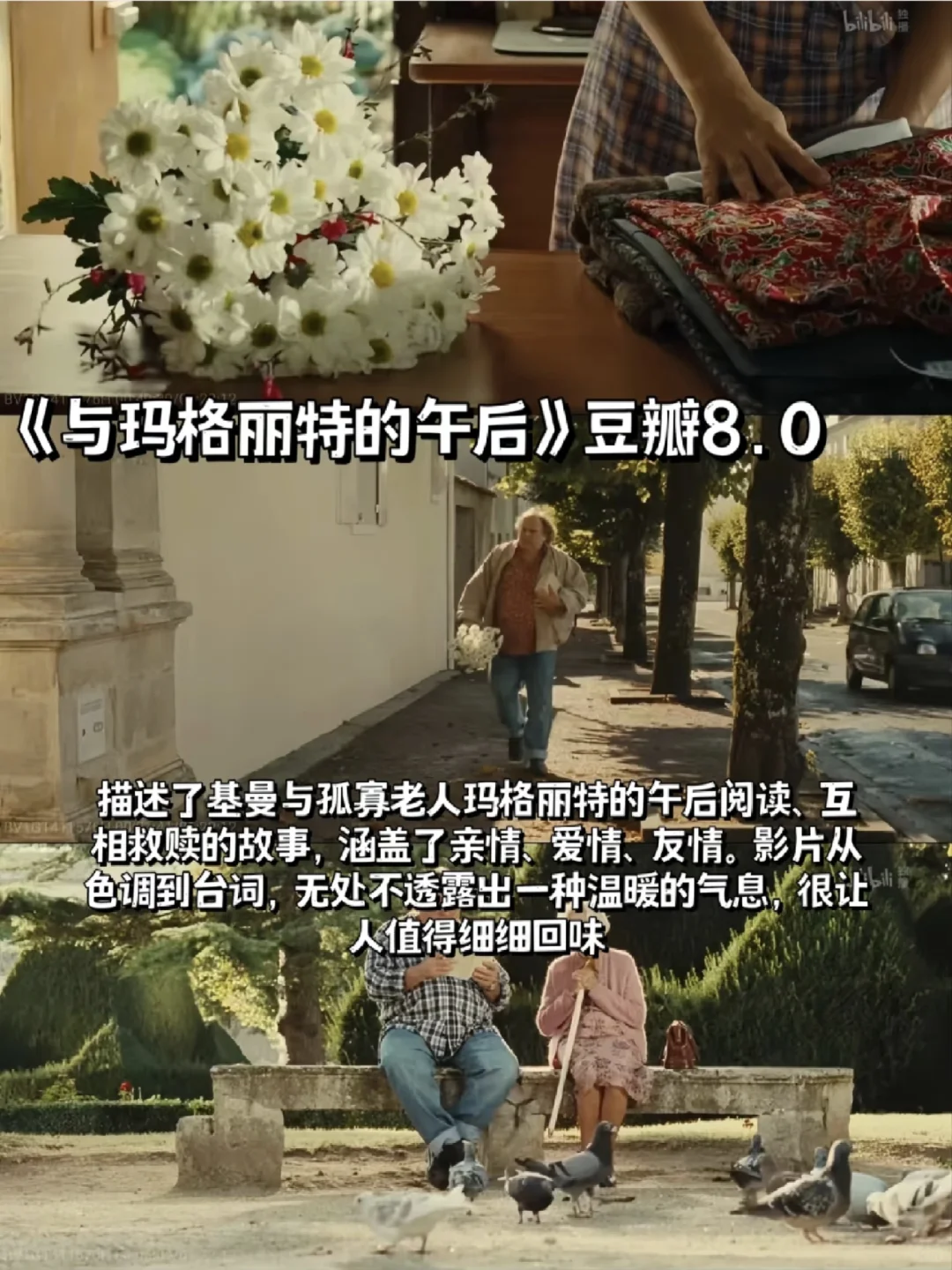 感谢这6部电影🎬治愈了我的精神内耗‼️