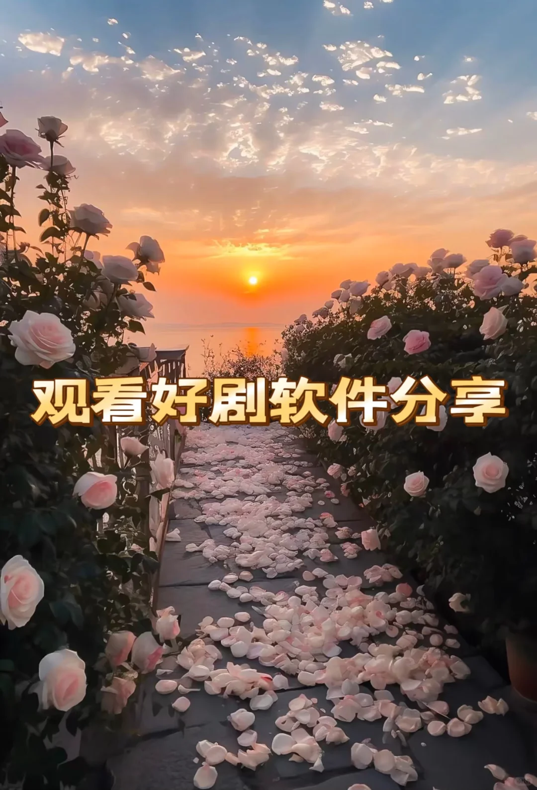 ios免费追剧神器 高清画质免费看