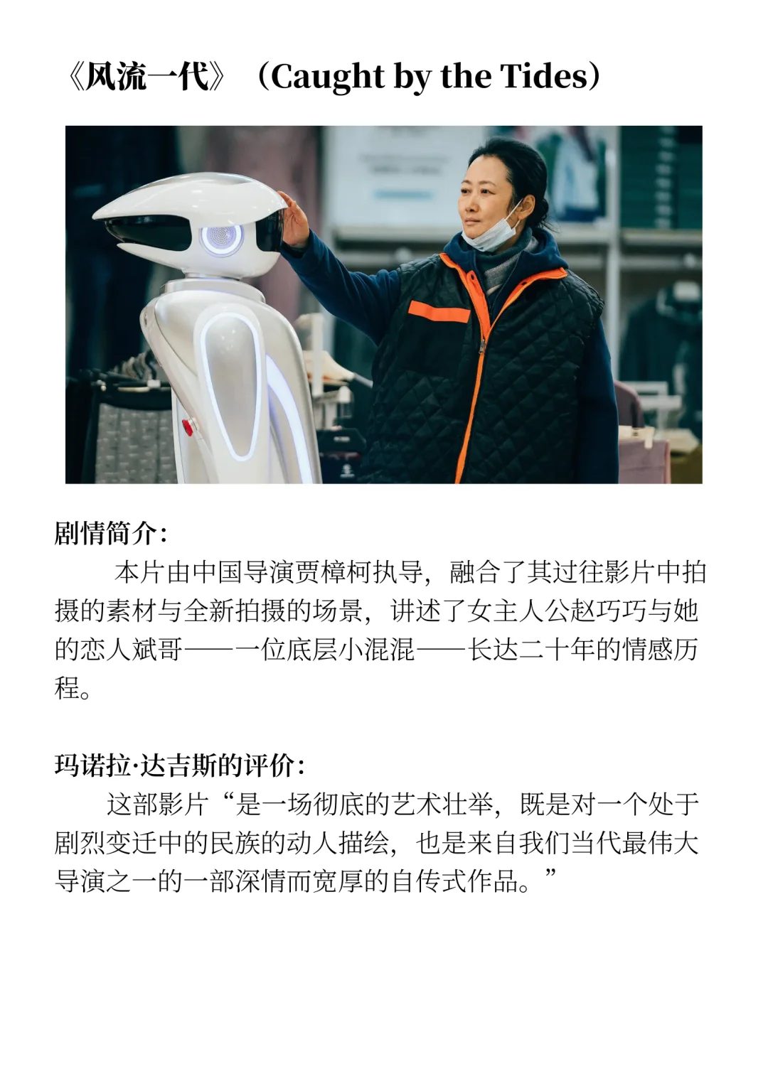 2025年迄今为止最佳电影精选