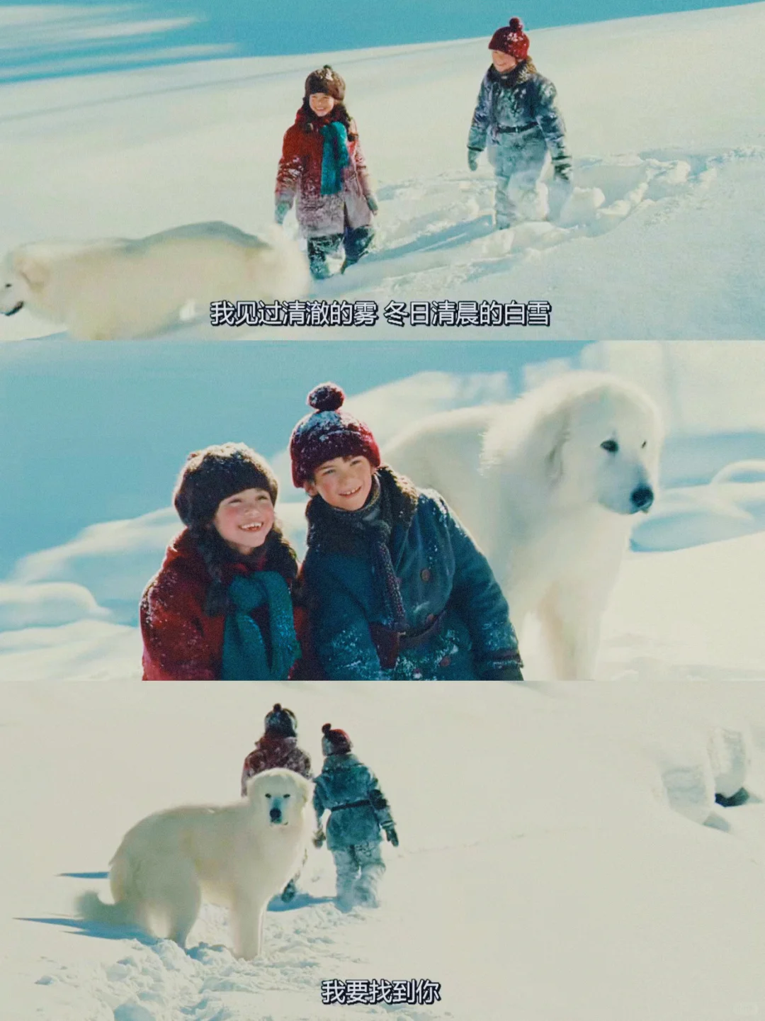 100部电影计划Ⅰ第9️⃣6️⃣部（96/100）