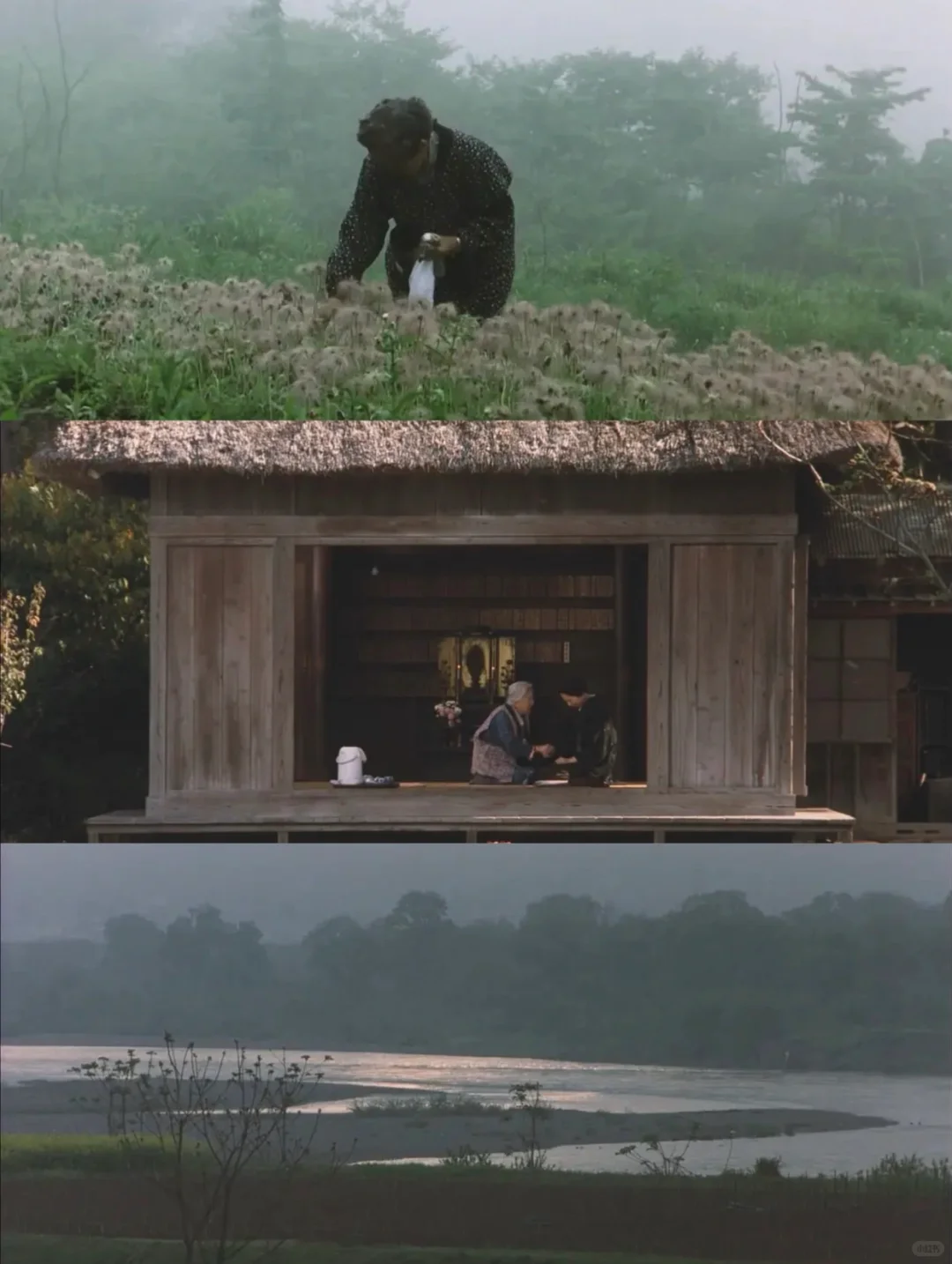 后劲好大啊‼️i人年度最爱电影😭