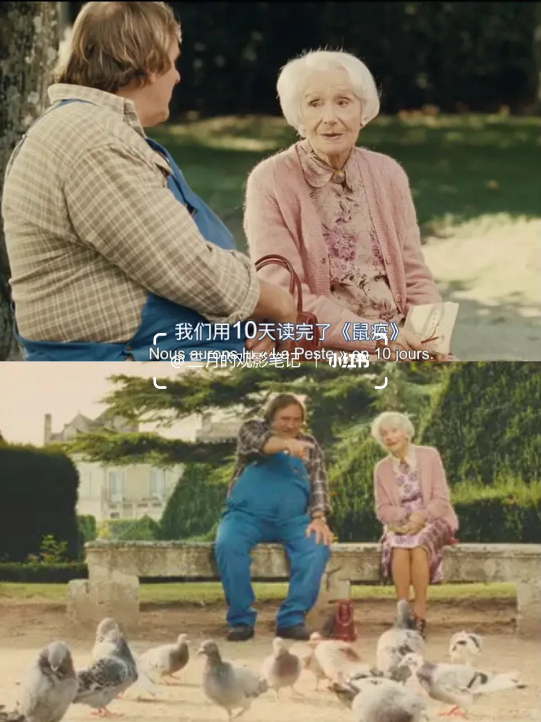 9.9分了😭不愧是全网零差评的治愈神作‼️