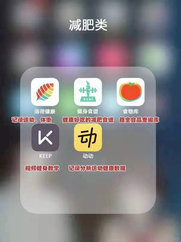 48款冷门却逆天的APP，精致的猪猪女孩必备哦