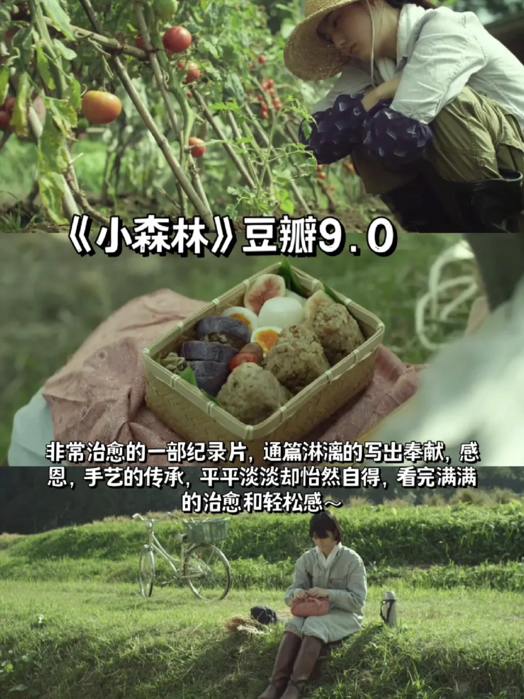 感谢这6部电影🎬治愈了我的精神内耗‼️