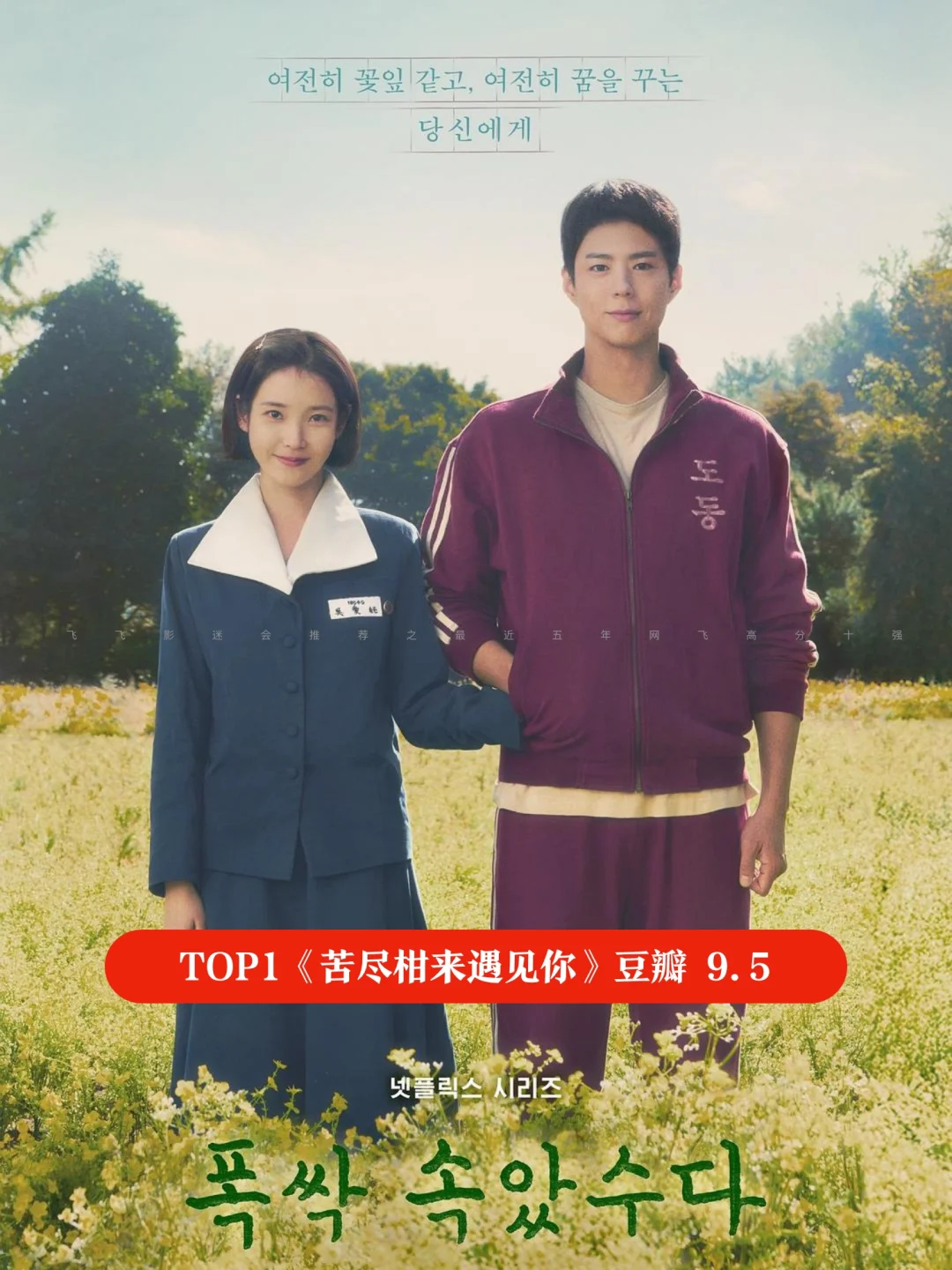 最近5年10部高分网飞剧集盘点~哪部你最爱