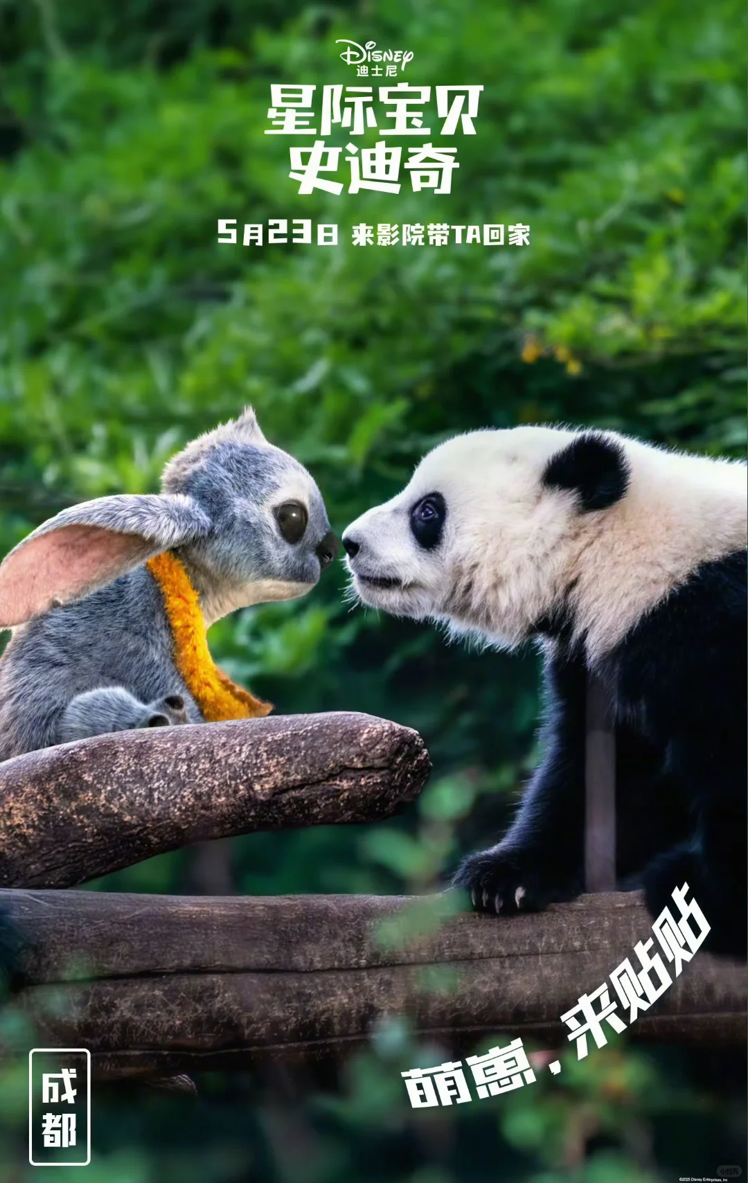 太好看了吧！星际宝贝史迪奇！