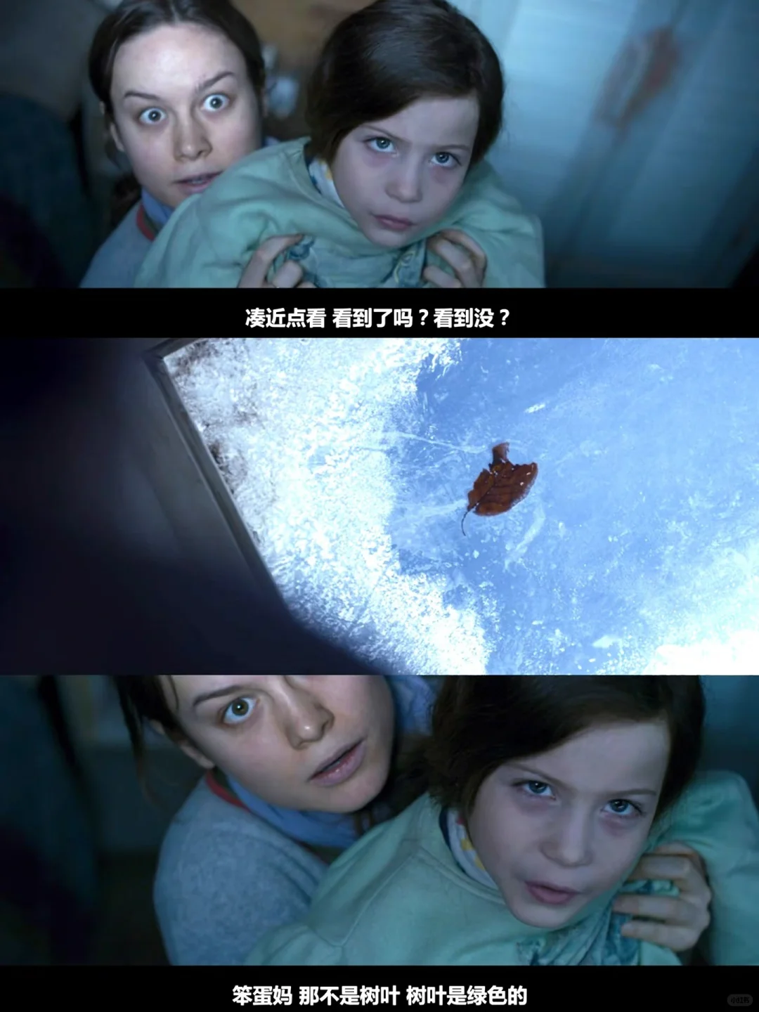 《房间》：于禁锢中绽放生命之光