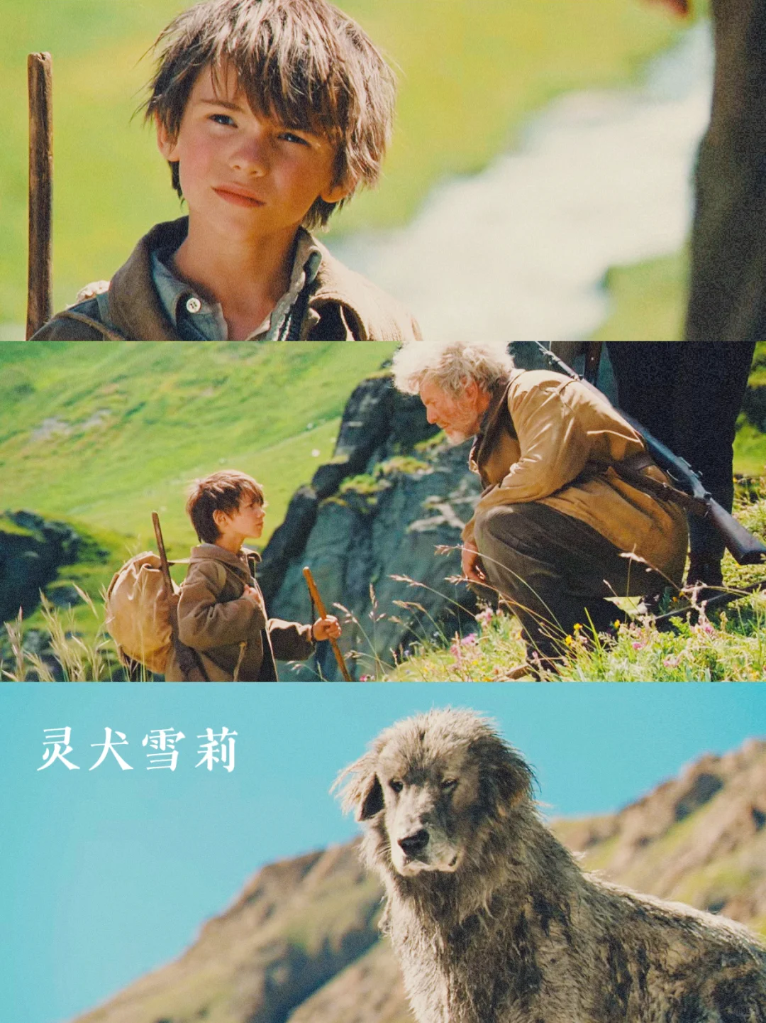 100部电影计划Ⅰ第9️⃣6️⃣部（96/100）