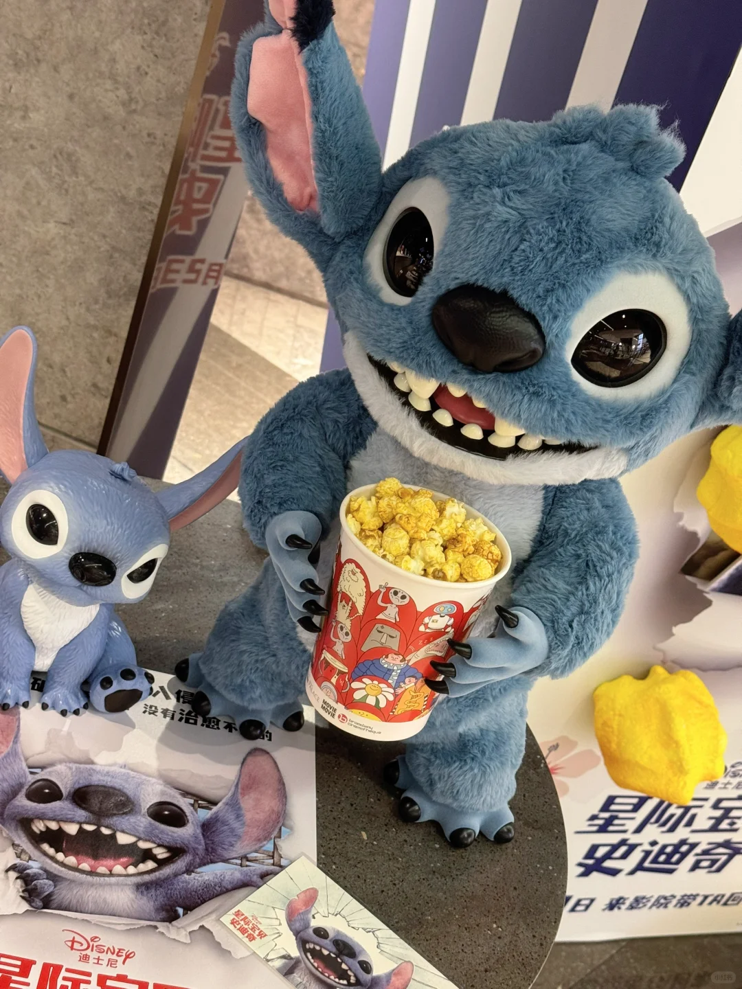 带着我的外星小狗来看史迪仔电影