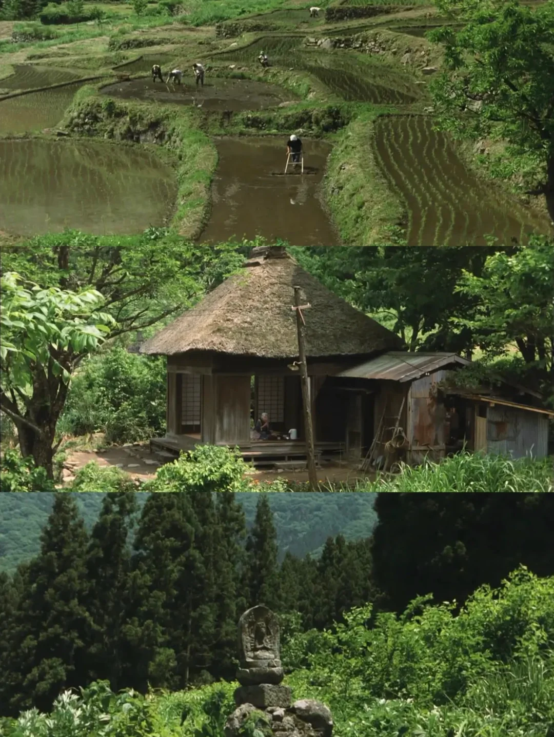 后劲好大啊‼️i人年度最爱电影😭