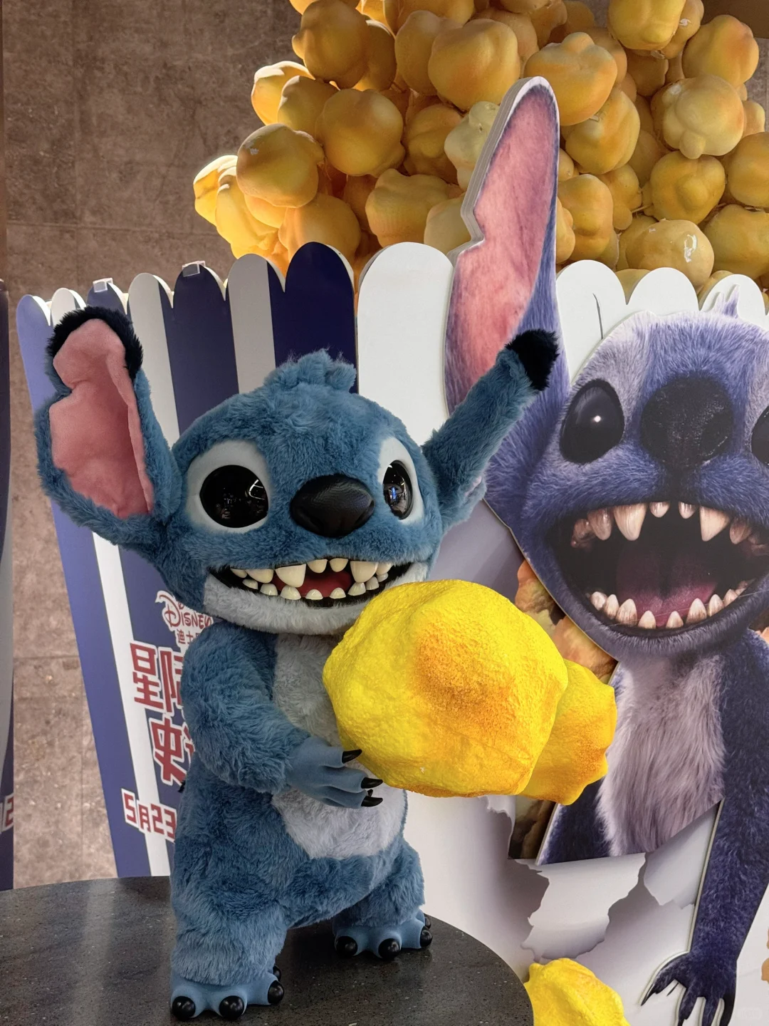 带着我的外星小狗来看史迪仔电影