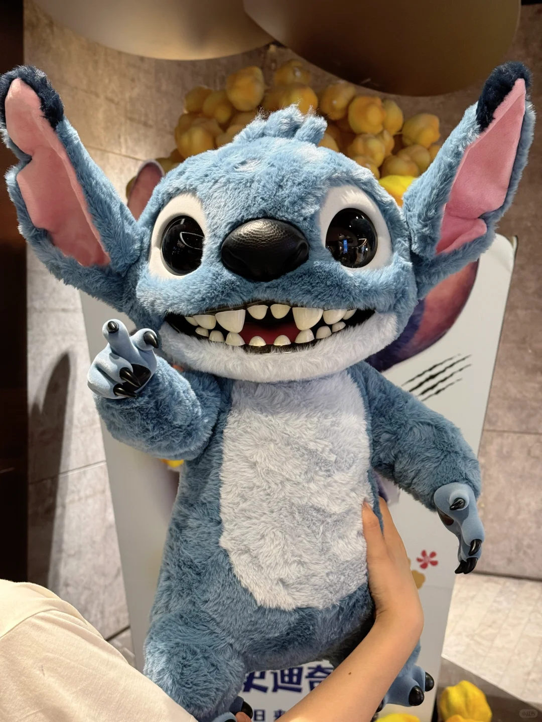 带着我的外星小狗来看史迪仔电影