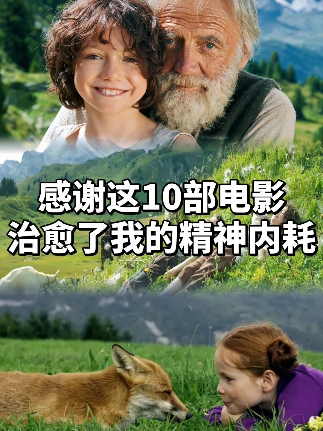 10部高分治愈系电影，睡前宅家周末放松必看