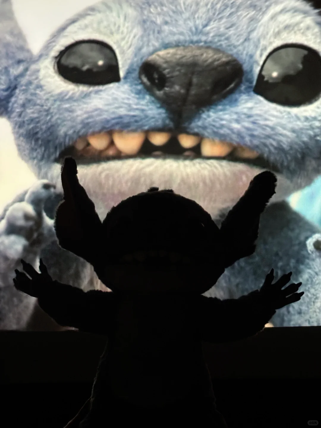 带着我的外星小狗来看史迪仔电影