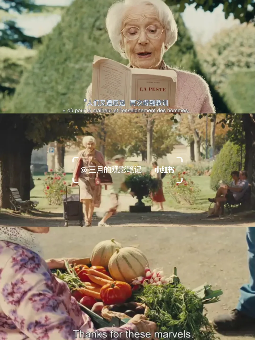 9.9分了😭不愧是全网零差评的治愈神作‼️