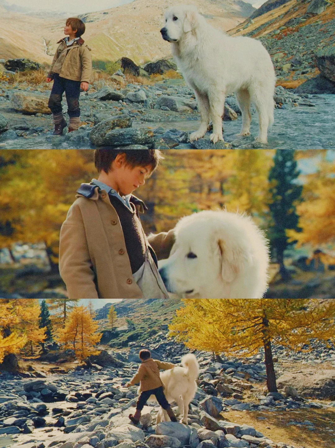 100部电影计划Ⅰ第9️⃣6️⃣部（96/100）