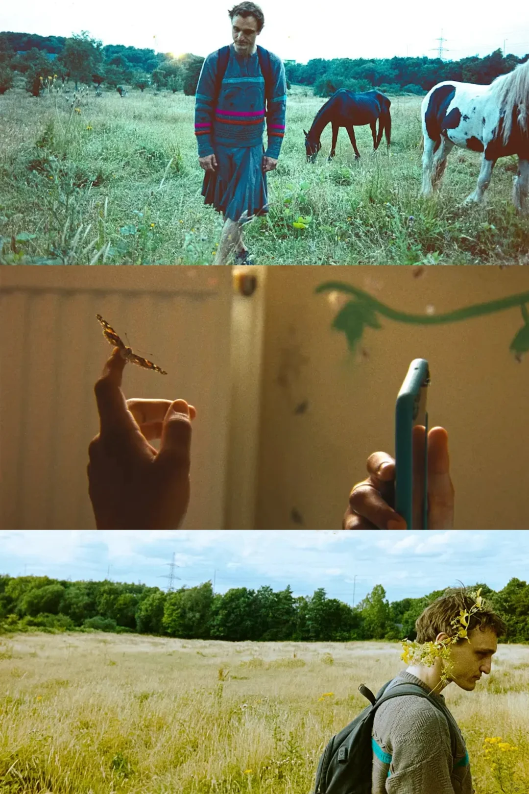 5.24放映｜这是戴锦华心中的戛纳满分电影