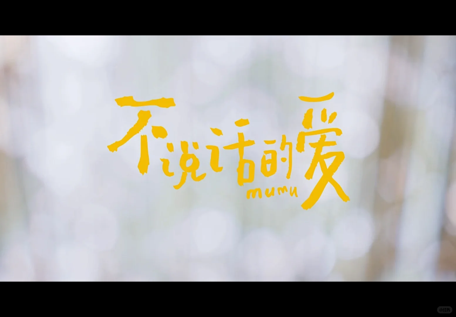 100部电影计划《不说话的爱》