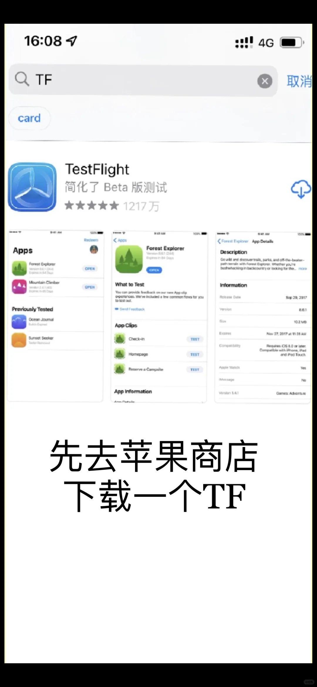 去苹果商店下载一个TF