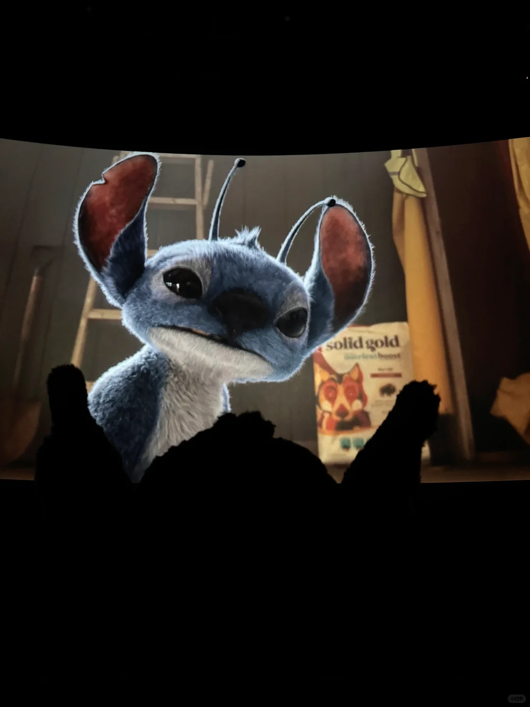 带着我的外星小狗来看史迪仔电影