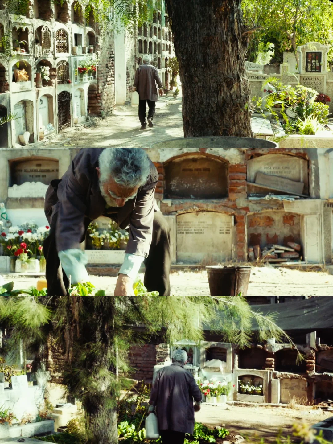 想向全世界推荐这部电影😭后劲真的好大❗️❗️