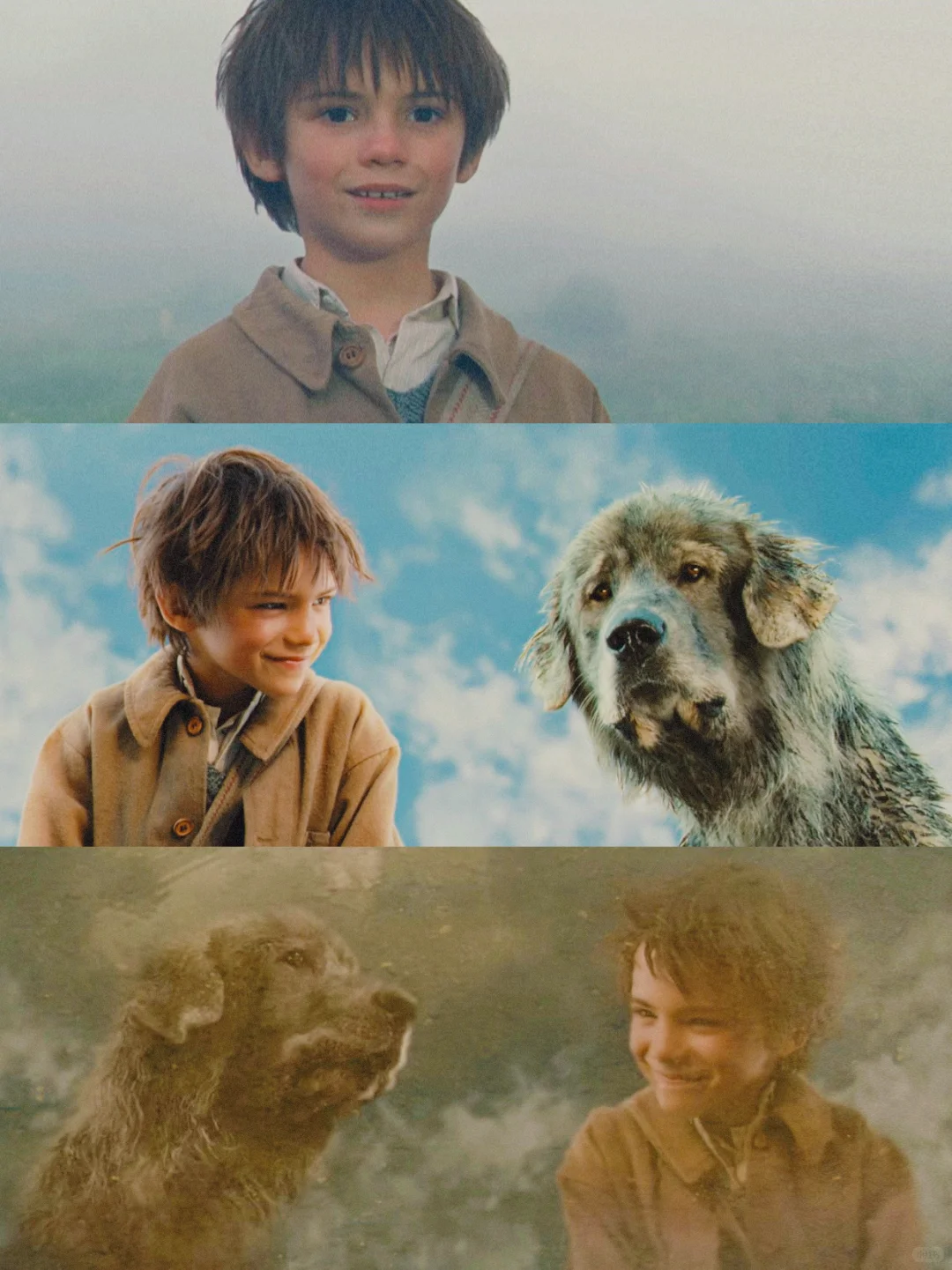 100部电影计划Ⅰ第9️⃣6️⃣部（96/100）