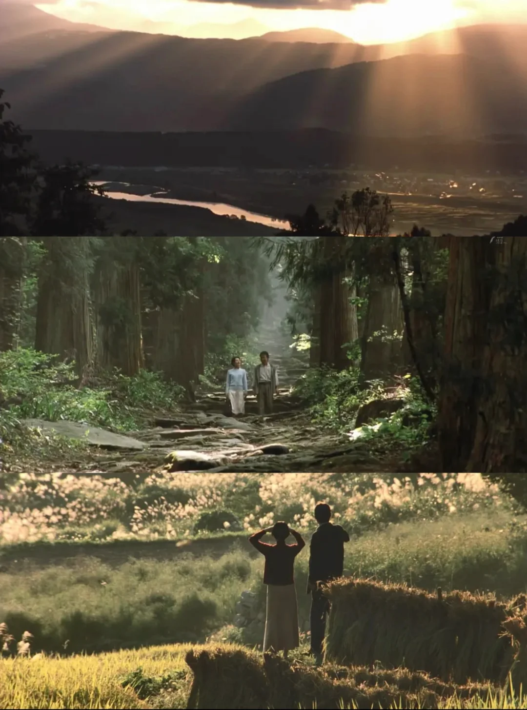 后劲好大啊‼️i人年度最爱电影😭