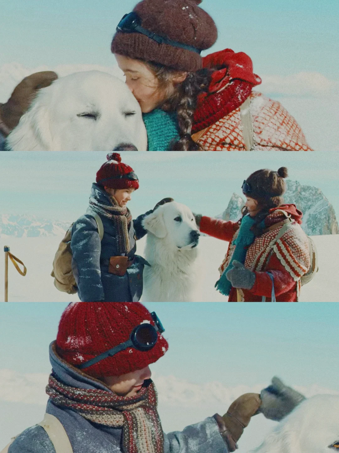 100部电影计划Ⅰ第9️⃣6️⃣部（96/100）