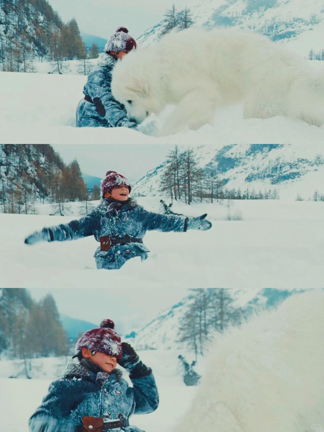 100部电影计划Ⅰ第9️⃣6️⃣部（96/100）