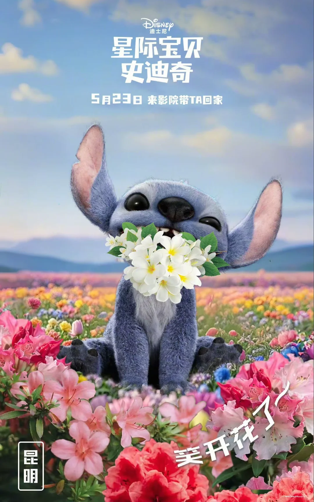 太好看了吧！星际宝贝史迪奇！