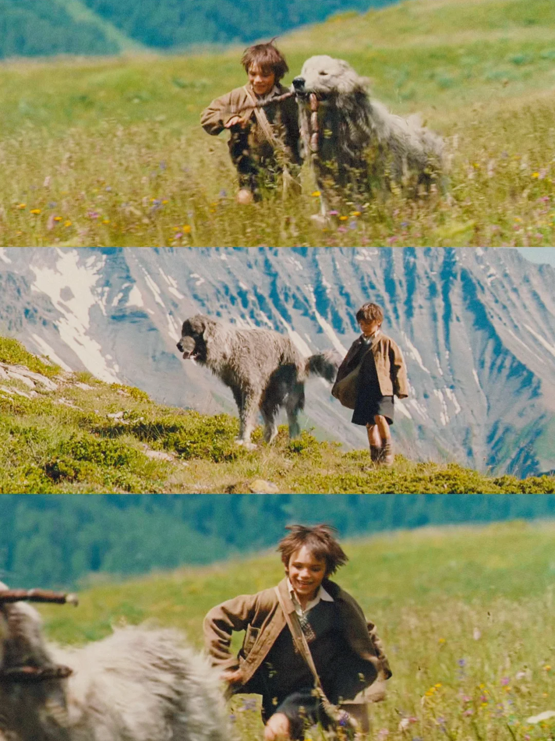 100部电影计划Ⅰ第9️⃣6️⃣部（96/100）