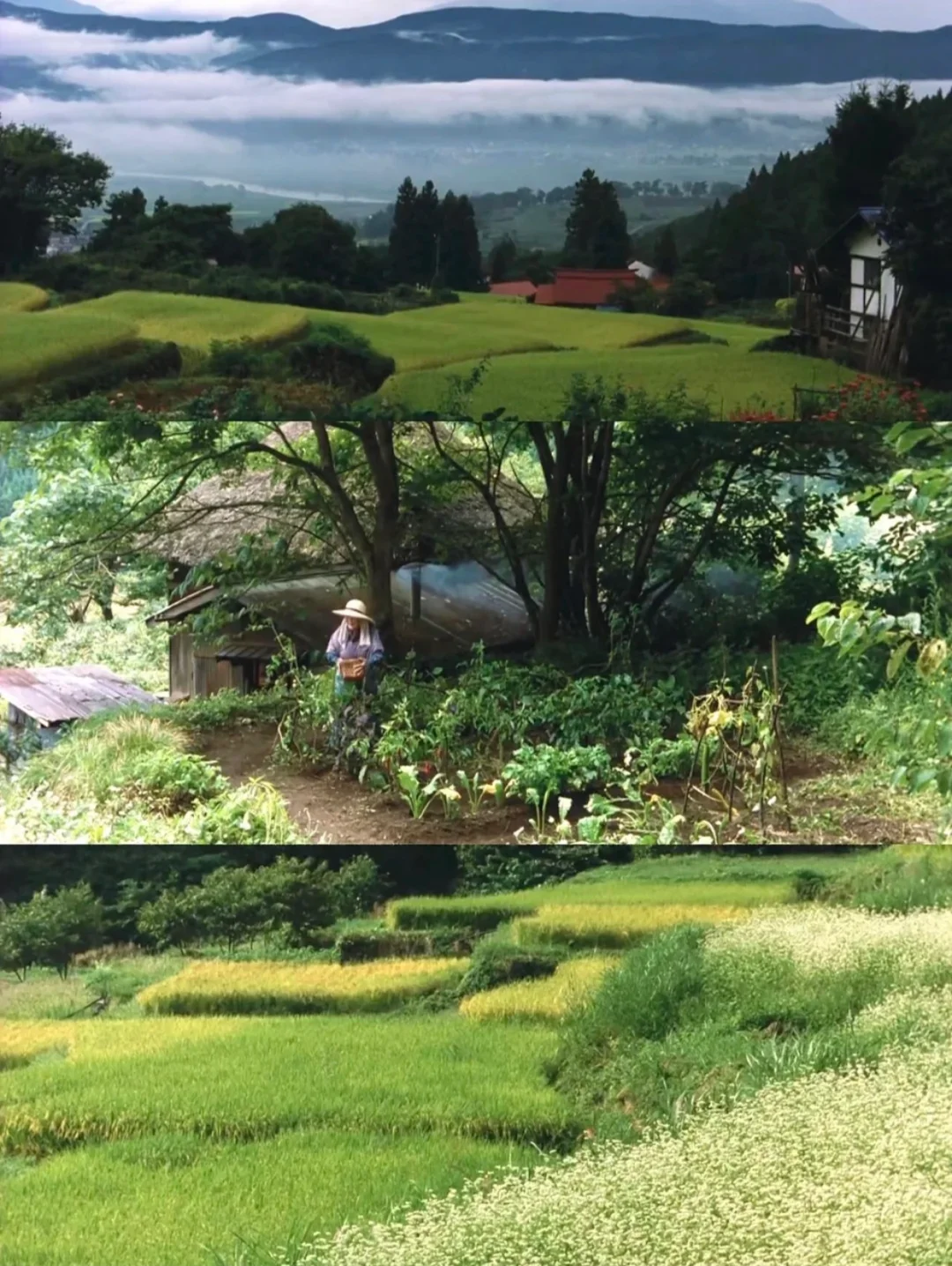 后劲好大啊‼️i人年度最爱电影😭