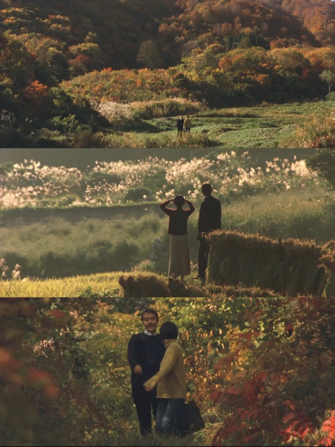 后劲好大啊‼️i人年度最爱电影😭