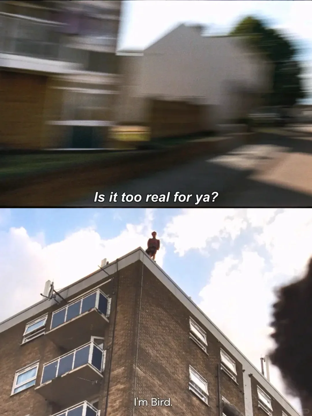 5.24放映｜这是戴锦华心中的戛纳满分电影