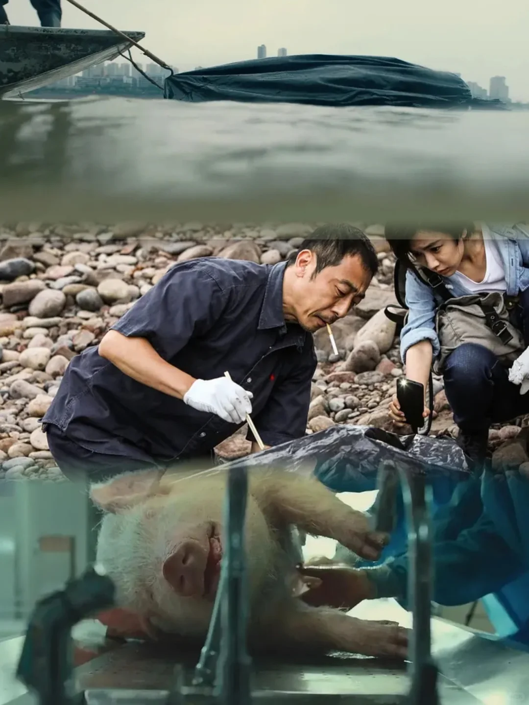 这片就要二刷，细思极恐的细节和深度👿