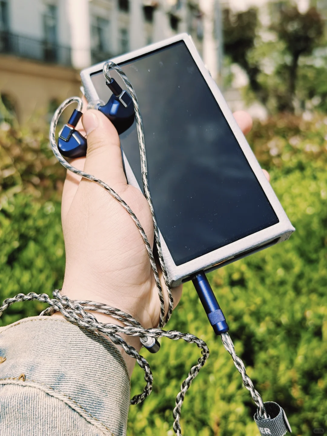 🎧救命终于搞懂QQ音乐/网易云/Apple Musi