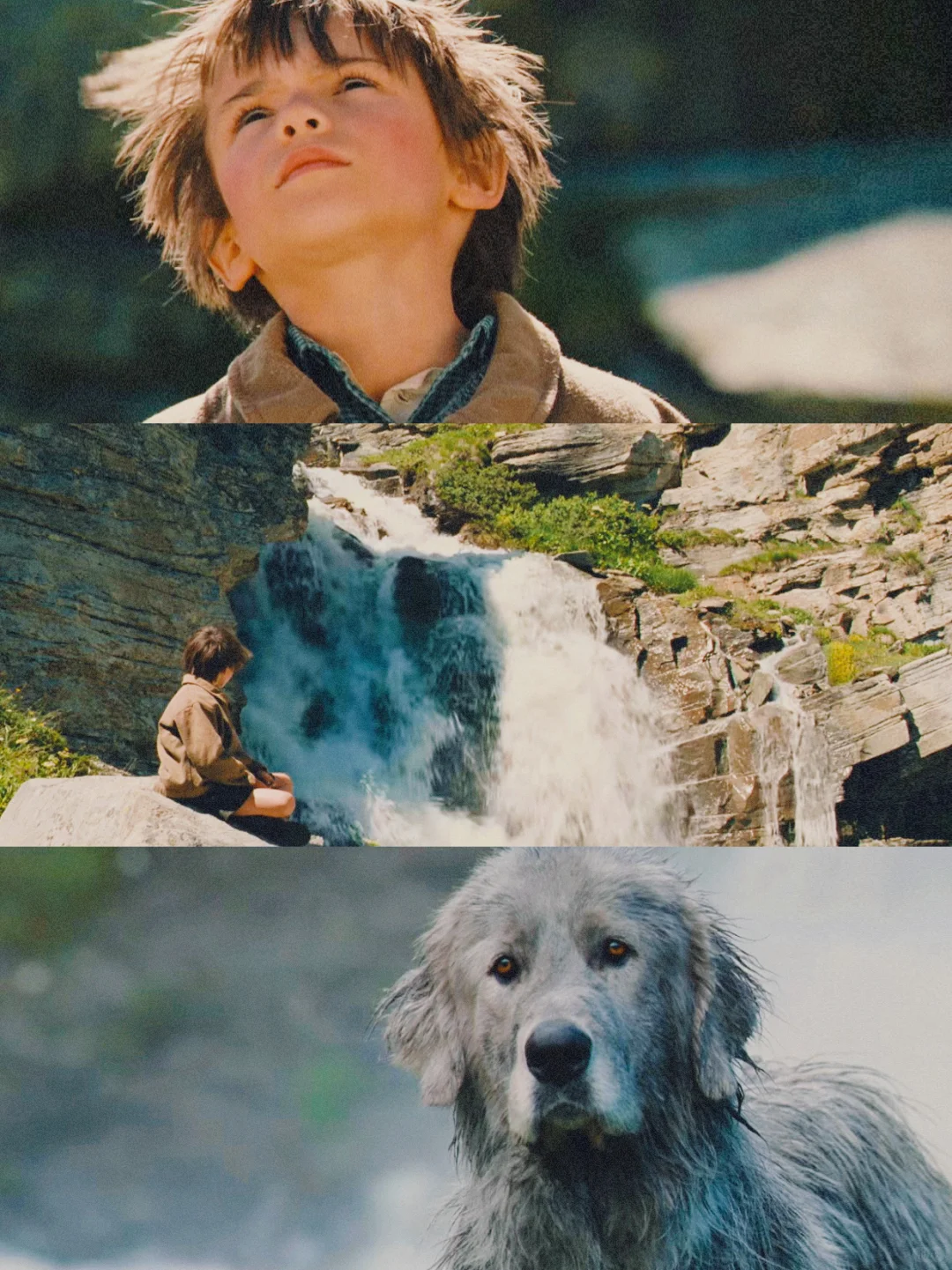 100部电影计划Ⅰ第9️⃣6️⃣部（96/100）