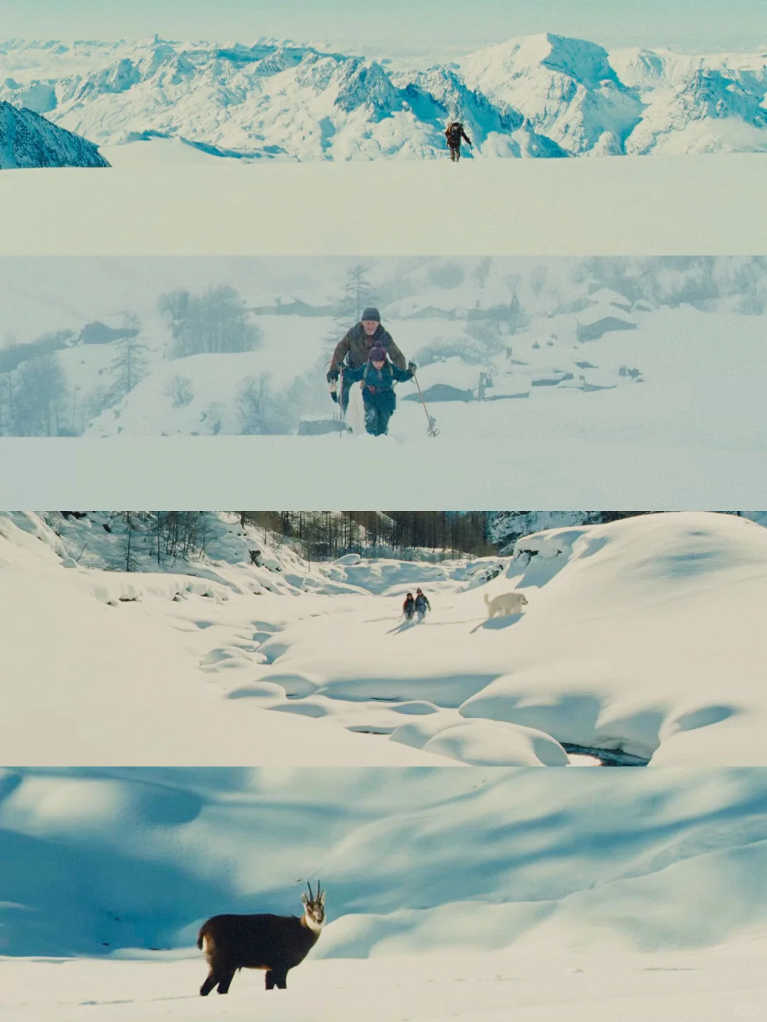 100部电影计划Ⅰ第9️⃣6️⃣部（96/100）