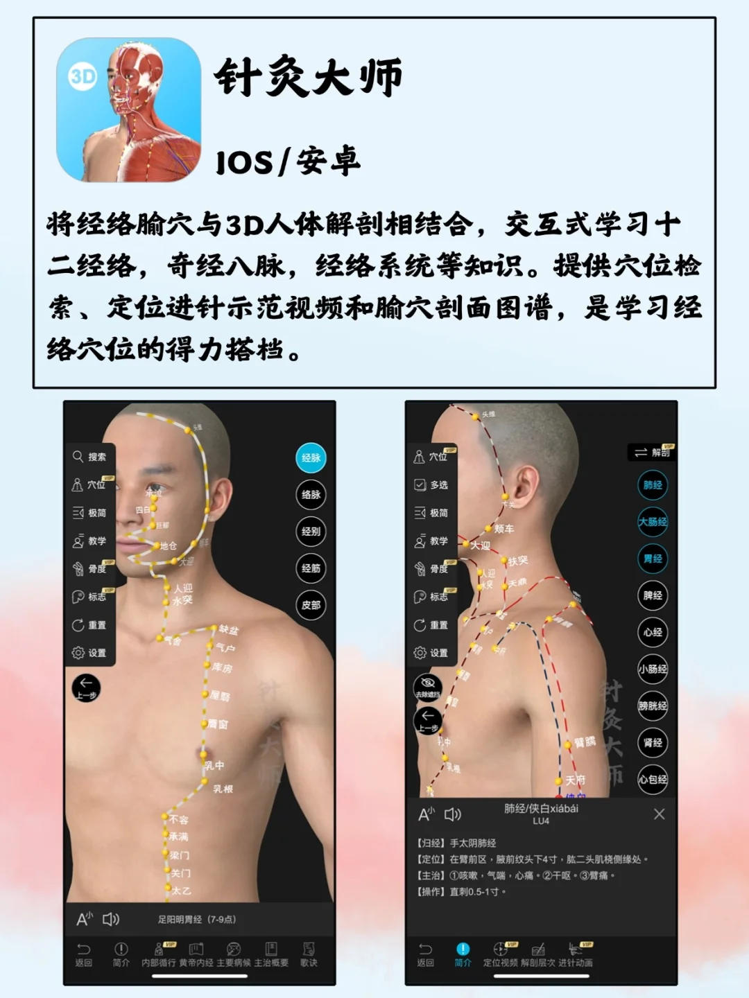 中医学生该有的神仙软件