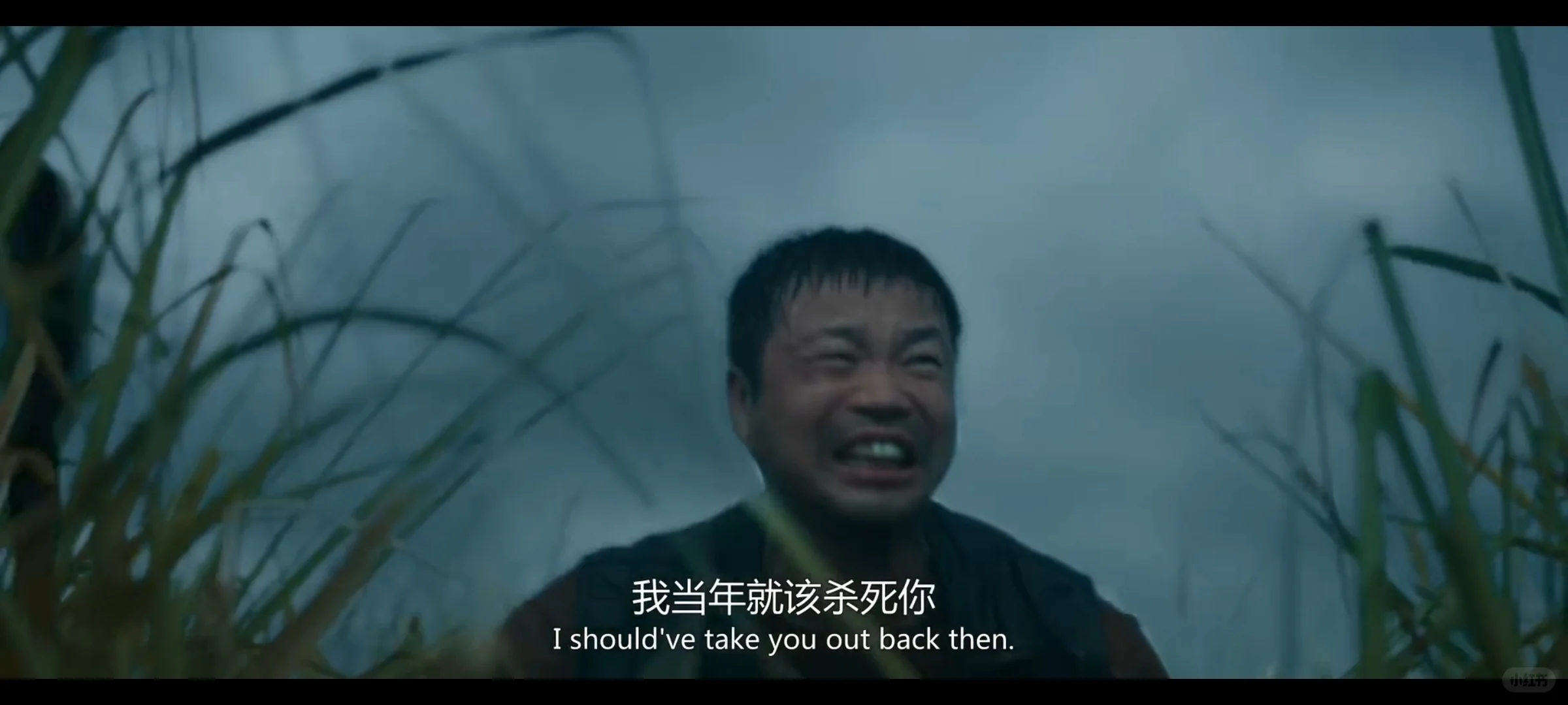 未成年慎看！2025犯罪悬疑片《怒水西流》