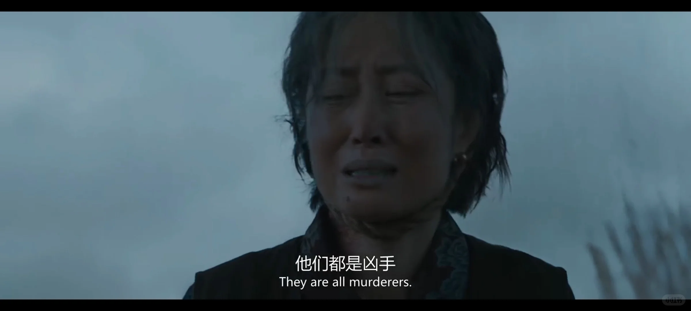 未成年慎看！2025犯罪悬疑片《怒水西流》