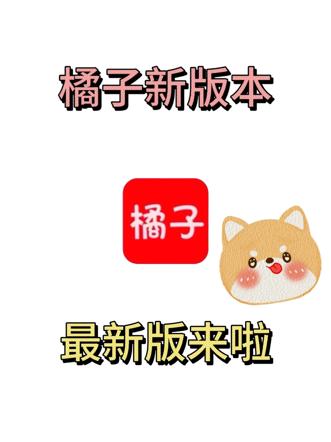 最新橘子已回来了！