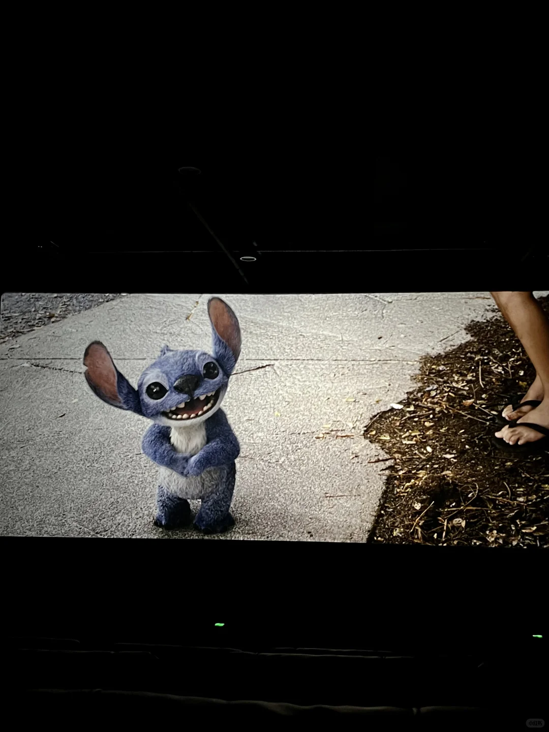 🎬电影 • 星际宝贝史迪奇