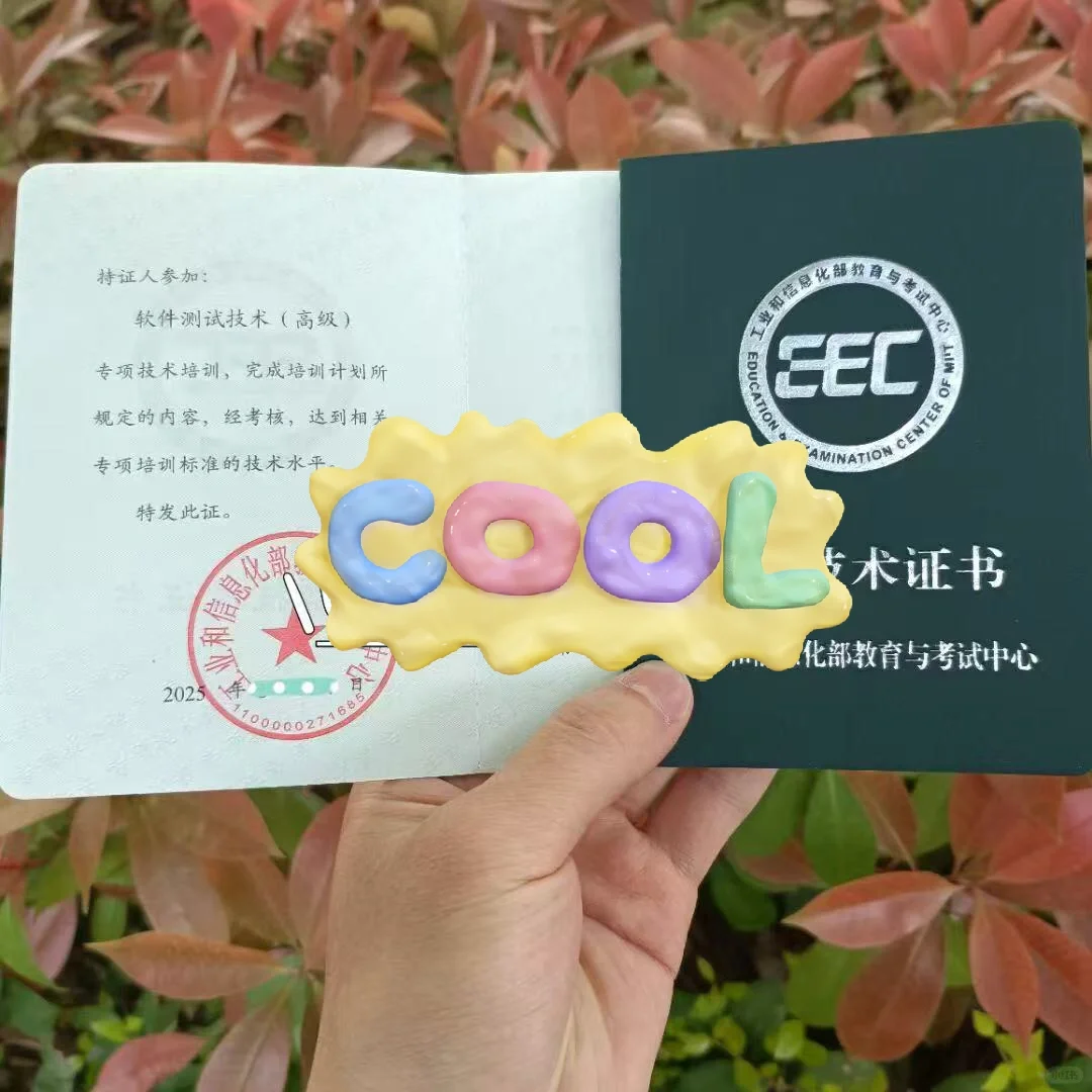 软件测试技术(高级)