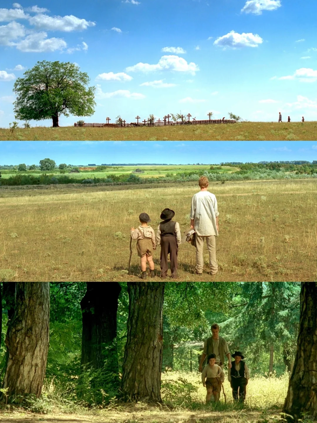 后劲大到缓不过来😭再也不敢看第二遍‼