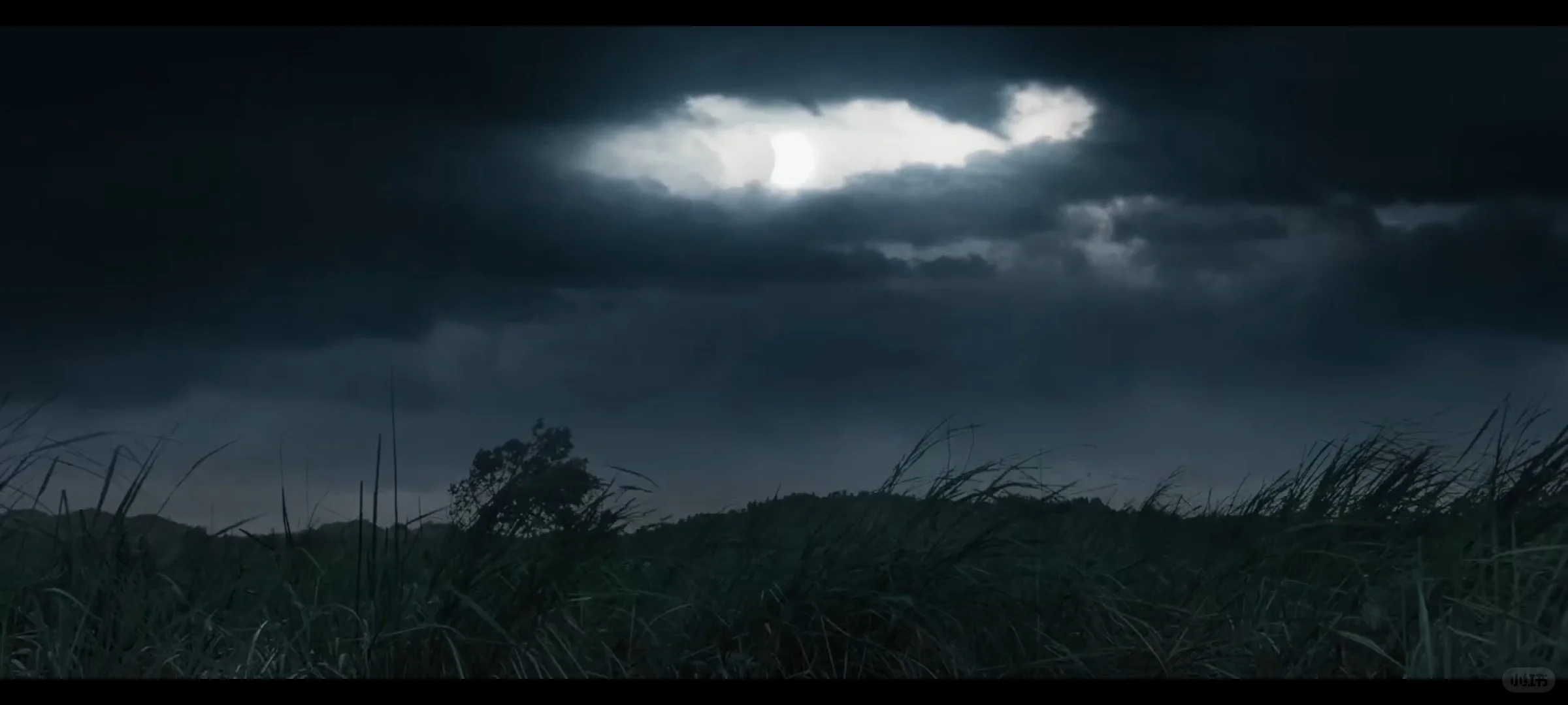 未成年慎看！2025犯罪悬疑片《怒水西流》