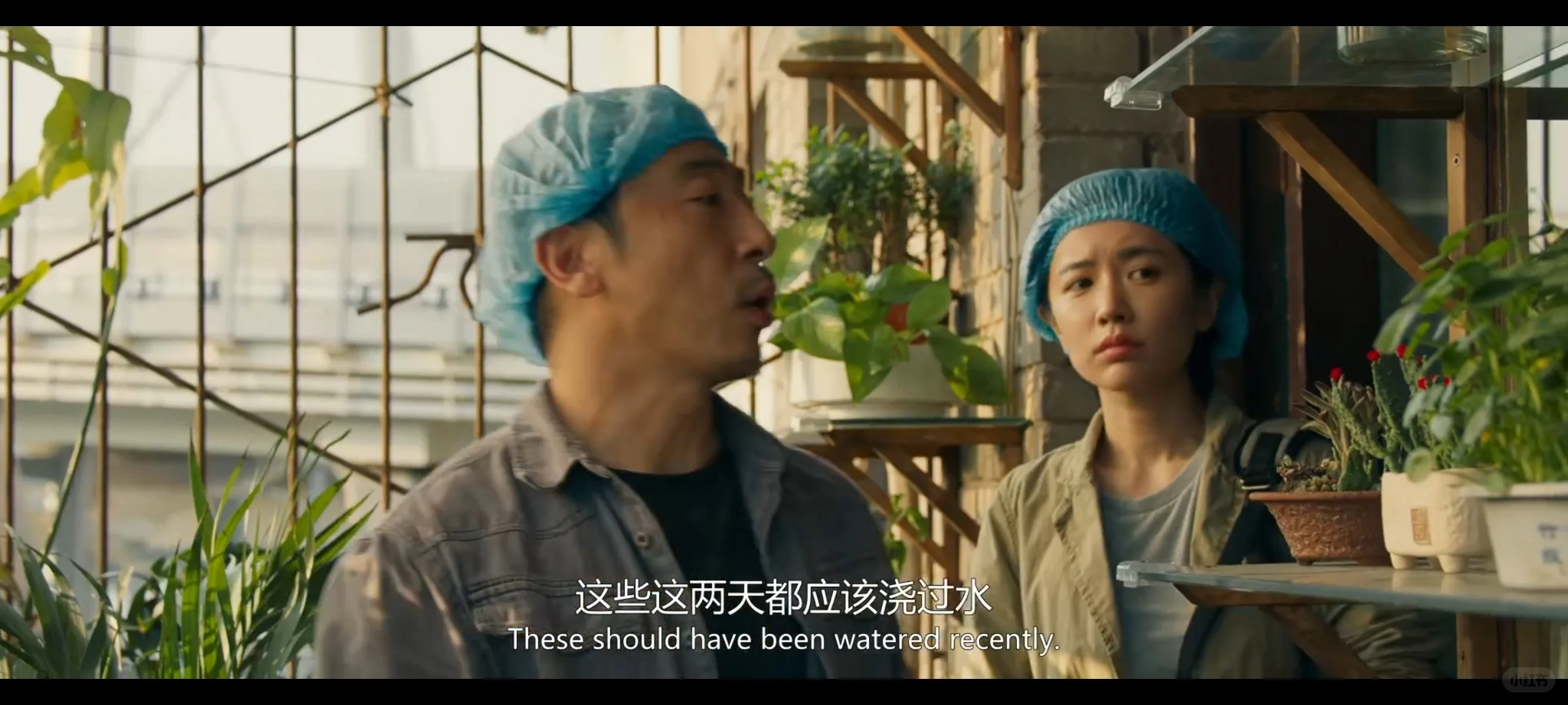 未成年慎看！2025犯罪悬疑片《怒水西流》